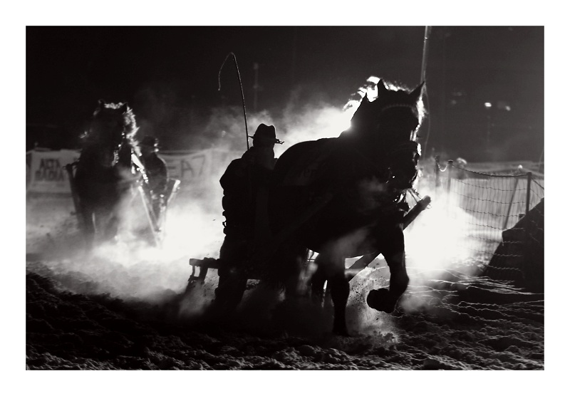 horse-sledge race