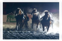 Alta Badia - horse sledge race