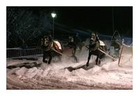 horse-sledge race