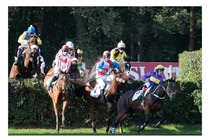 134. Velká pardubická steeplechase