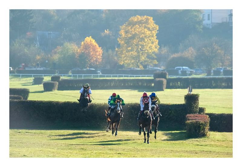 Jump Des Bruyeres x Chittussi